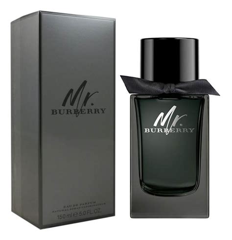 mr burberry offerta|mr burberry eau de parfum.